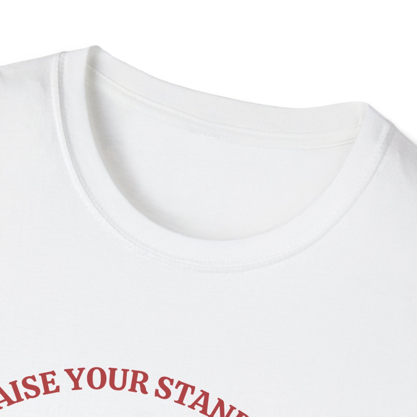 'Raise Your Standards'- Unisex Softstyle T-Shirt, Cute Racoon